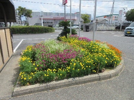 花壇の様子