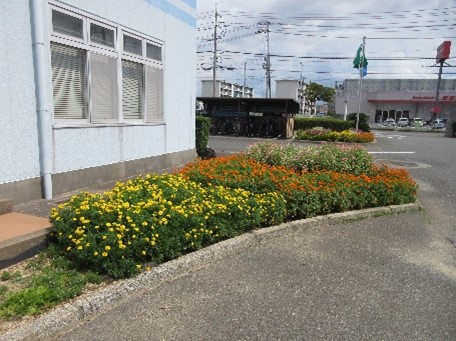 花壇の様子