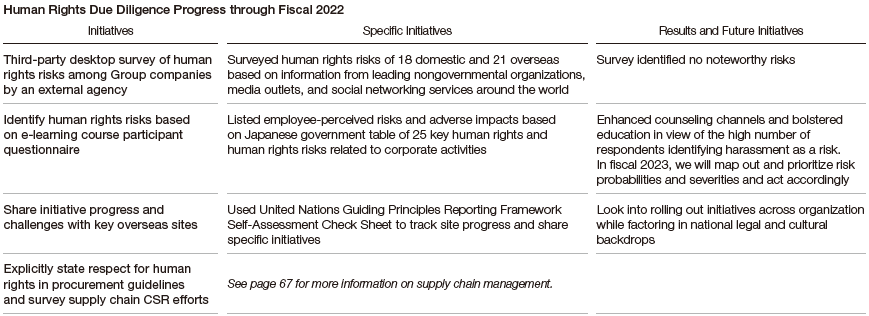 Human Rights Due Diligence Progress through Fiscal 2022