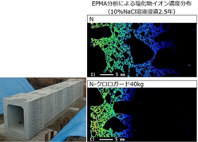 EPMA分析による塩化物イオン濃度分布（10％NaCl溶液浸漬2.5年）
