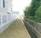 除草及び庭木剪定業務